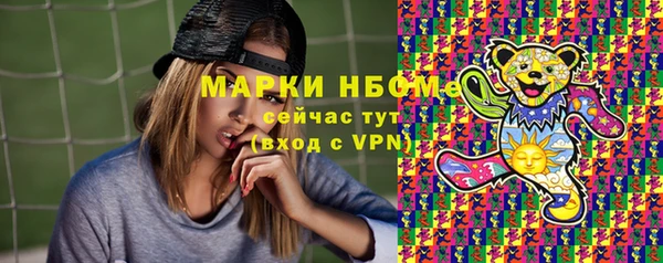 прущие грибы Корсаков