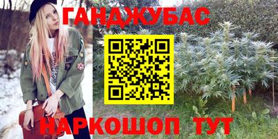 амф Камышлов