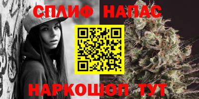 амф Камышлов