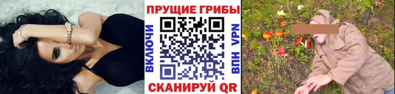 Псилоцибиновые грибы мицелий  цены   Углич 