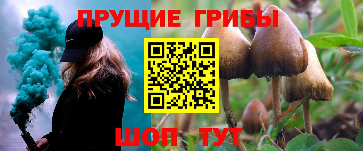Псилоцибиновые грибы мицелий Углич