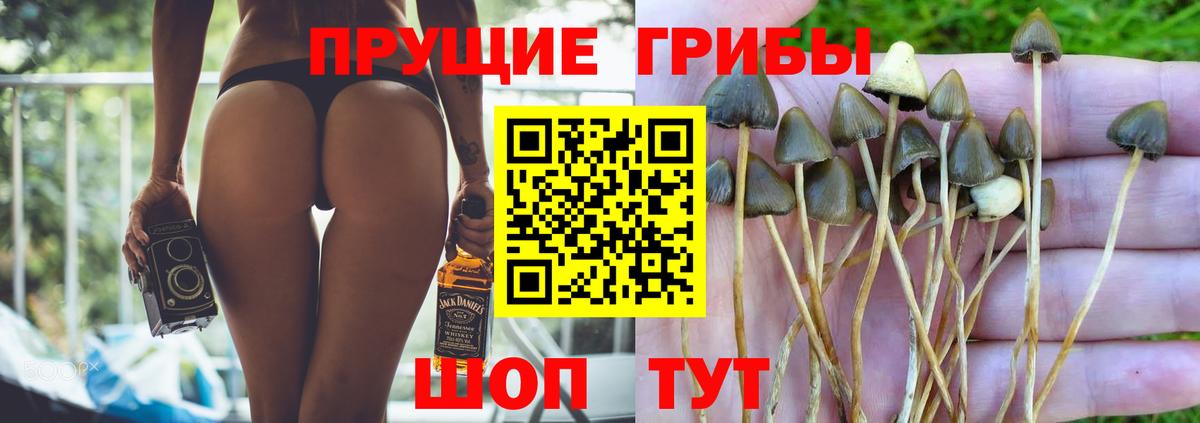 Углич  Псилоцибиновые грибы MAGIC MUSHROOMS  Вход с VPN  Галлюциногенные грибы Magic Shrooms 
